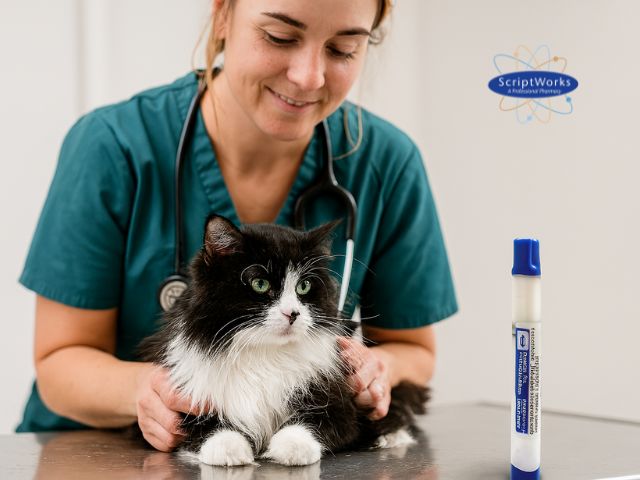 Transdermal methimazole for cats