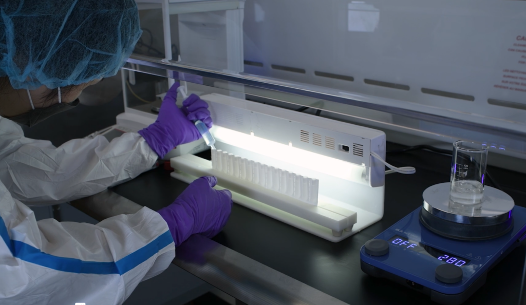 Lab Technician Filling Tubes in a Hood