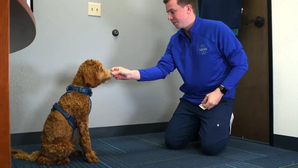ScriptWorks Pharmacist Interacting with a Dog