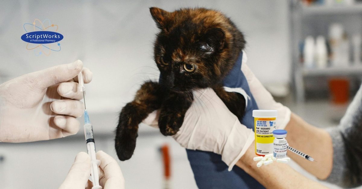 _Compounded GS-441524 for Veterinary Prescriptions cat inject