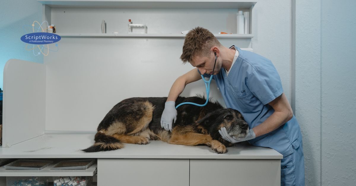 Inflammatory Bowel Disease in California Pets: Could Budesonide Tiny Script Tabs Make a Difference?