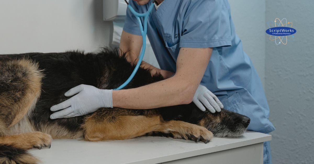 ScriptWorks at PacVet 2026 Booth #215 | Veterinary Compounding Pharmacy